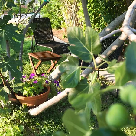 Point Of View Apartament *