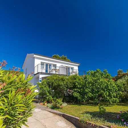 Point Of View * Punat