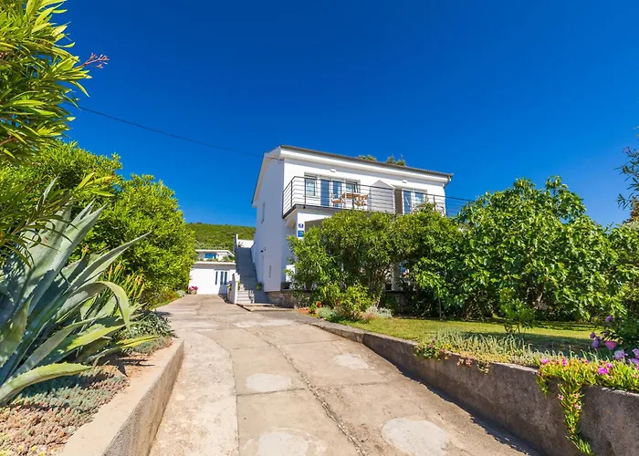 Point Of View 푸나트