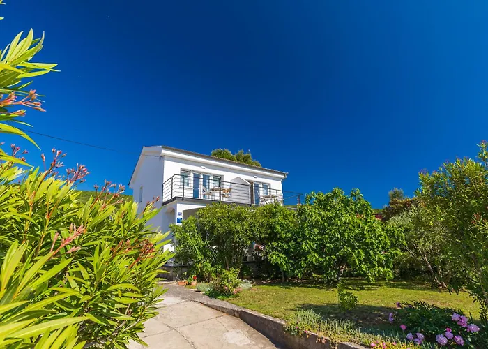 Point Of View * 푸나트